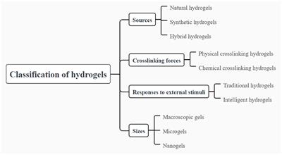 Hydrogels as promising carriers for the delivery of food bioactive ingredients